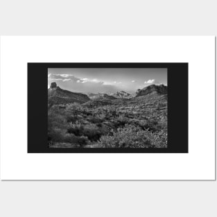 Desert Landscape In Black And White Posters and Art